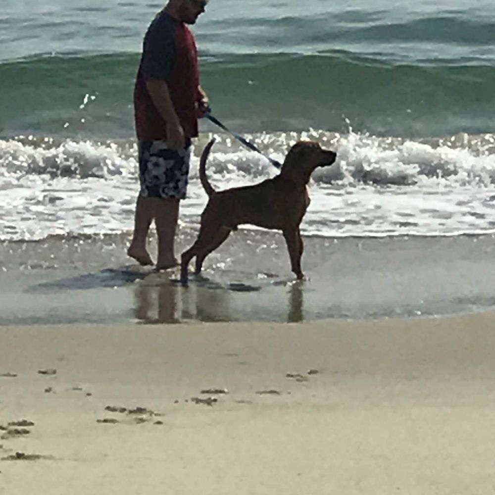 Meet your Posher, Kevin